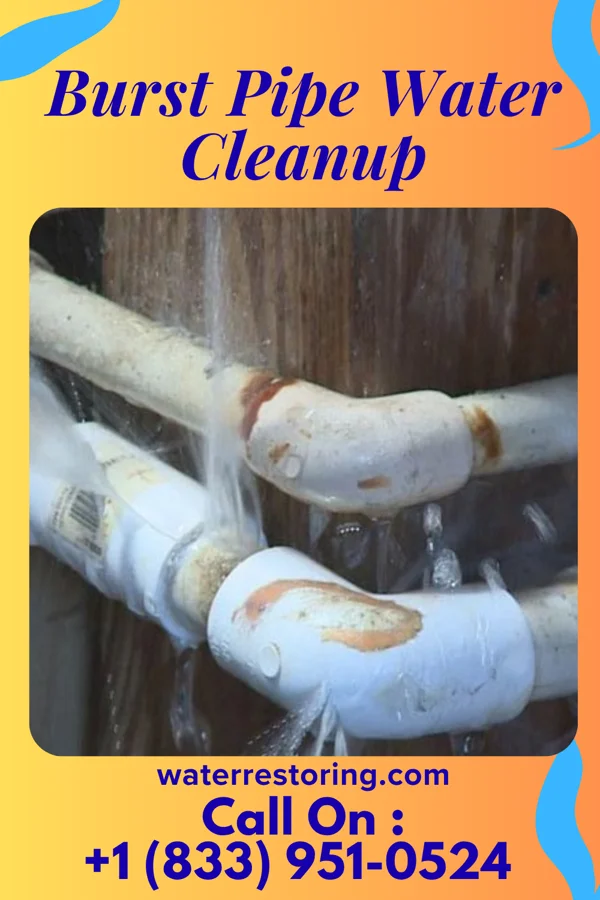 Burst Pipe Water Cleanup in Rutland, VT