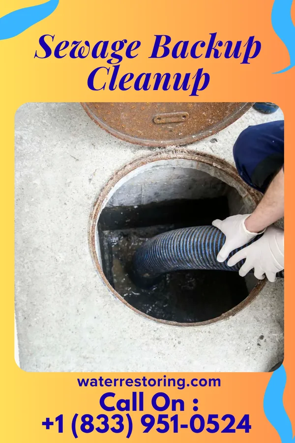 Sewage Backup Cleanup in Rutland, VT
