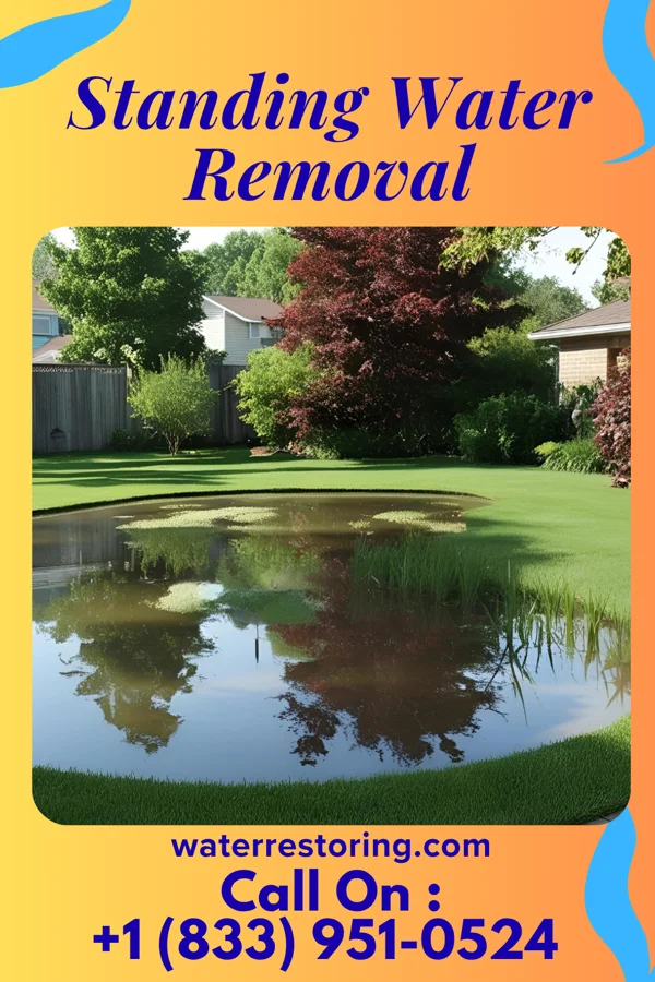 Standing Water Removal in Rutland, VT